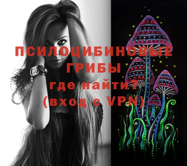 амф Инсар