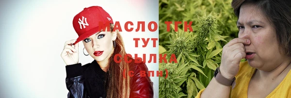 spice Богородск