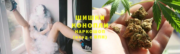 крисы Бронницы