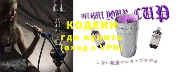 крисы Бронницы