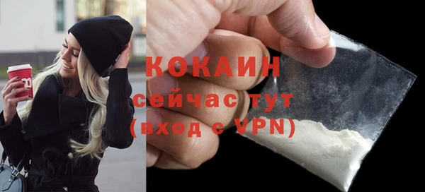 тгк Богданович