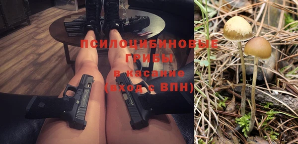 крисы Бронницы