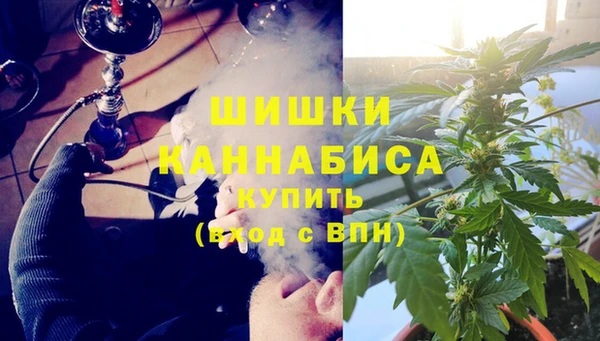 крисы Бронницы