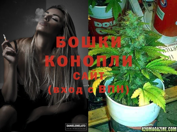 крисы Бронницы