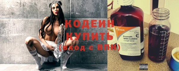 сатива Иннополис