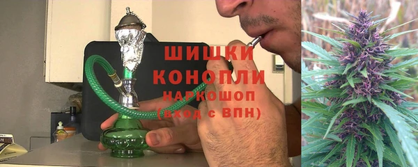 крисы Бронницы